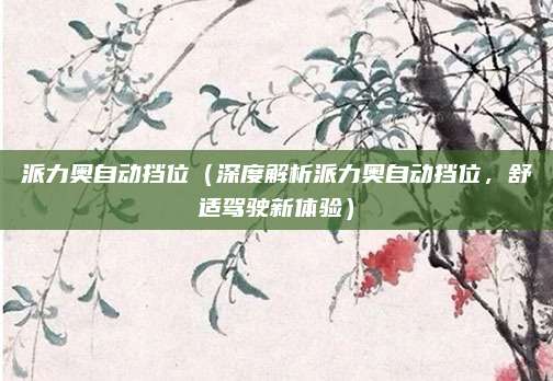 派力奥自动挡位(深度解析派力奥自动挡位,舒适驾驶新体验)