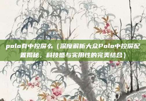 polo有中控屏么(深度解析大众Polo中控屏配置揭秘,科技感与实用性的完美结合)
