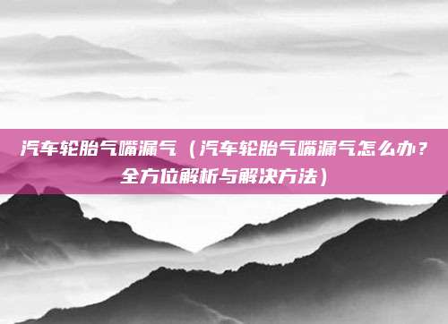 汽车轮胎气嘴漏气(汽车轮胎气嘴漏气怎么办?全方位解析与解决方法)