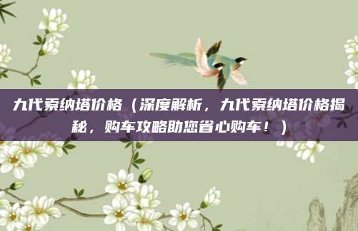 九代索纳塔价格(深度解析,九代索纳塔价格揭秘,购车攻略助您省心购车!)