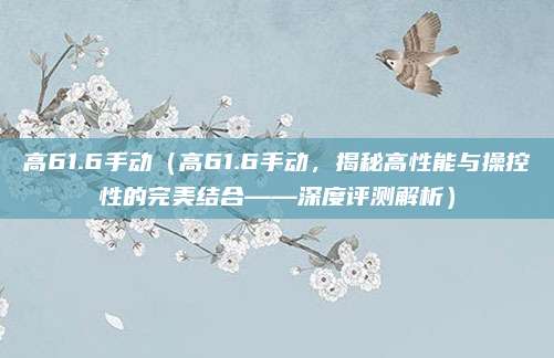 高61.6手动(高61.6手动,揭秘高性能与操控性的完美结合——深度评测解析)