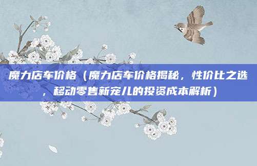 魔力店车价格（魔力店车价格揭秘，性价比之选，移动零售新宠儿的投资成本解析）