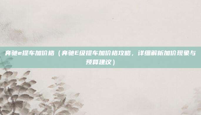 奔驰e提车加价格(奔驰E级提车加价格攻略,详细解析加价现象与预算建议)