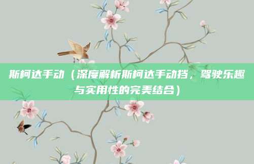 斯柯达手动（深度解析斯柯达手动挡，驾驶乐趣与实用性的完美结合）