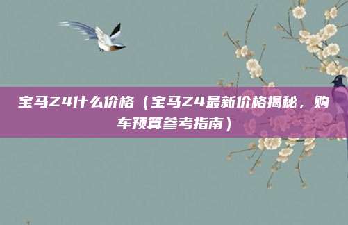 宝马Z4什么价格（宝马Z4最新价格揭秘，购车预算参考指南）