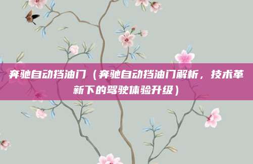 奔驰自动挡油门（奔驰自动挡油门解析，技术革新下的驾驶体验升级）