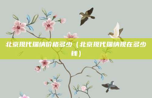 北京现代瑞纳价格多少(北京现代瑞纳现在多少钱)