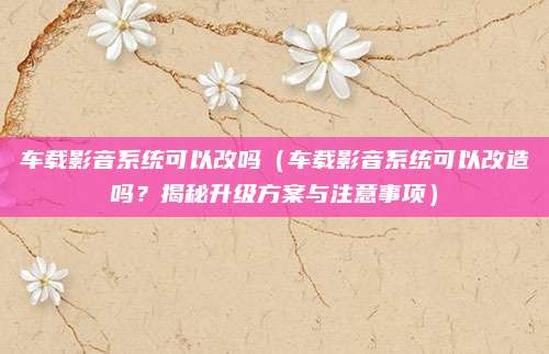 车载影音系统可以改吗（车载影音系统可以改造吗？揭秘升级方案与注意事项）