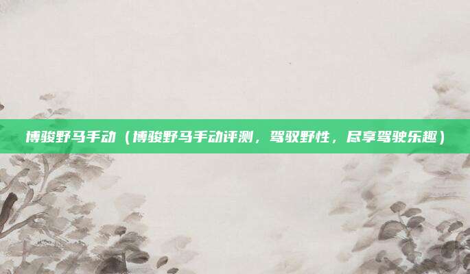 博骏野马手动（博骏野马手动评测，驾驭野性，尽享驾驶乐趣）