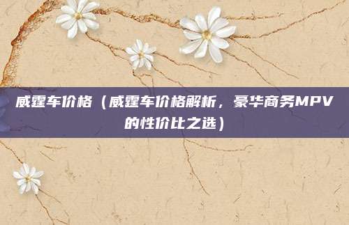 威霆车价格（威霆车价格解析，豪华商务MPV的性价比之选）