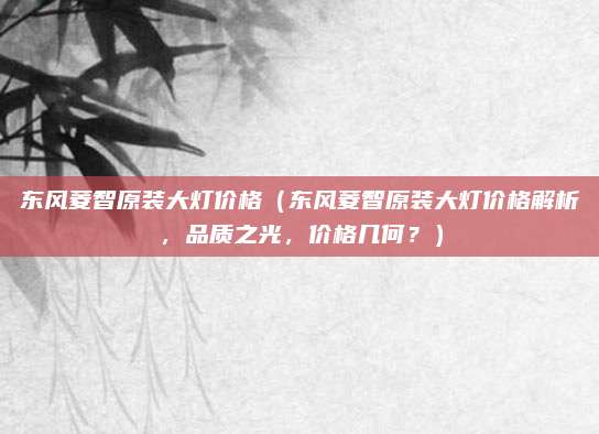 东风菱智原装大灯价格（东风菱智原装大灯价格解析，品质之光，价格几何？）