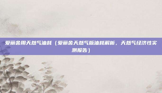 爱丽舍用天然气油耗（爱丽舍天然气版油耗解析，天然气经济性实测报告）