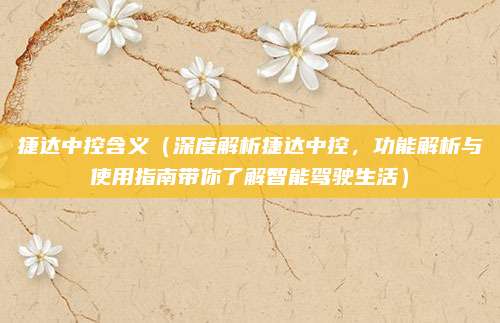 捷达中控含义（深度解析捷达中控，功能解析与使用指南带你了解智能驾驶生活）