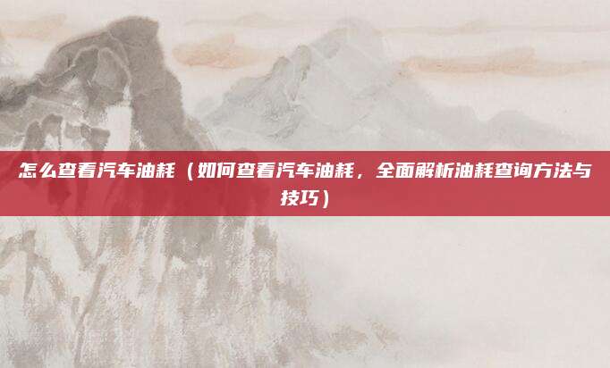 怎么查看汽车油耗（如何查看汽车油耗，全面解析油耗查询方法与技巧）