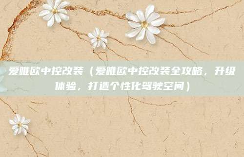 爱唯欧中控改装(爱唯欧中控改装全攻略,升级体验,打造个性化驾驶空间)
