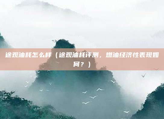 途观油耗怎么样(途观油耗评测,燃油经济性表现如何?)