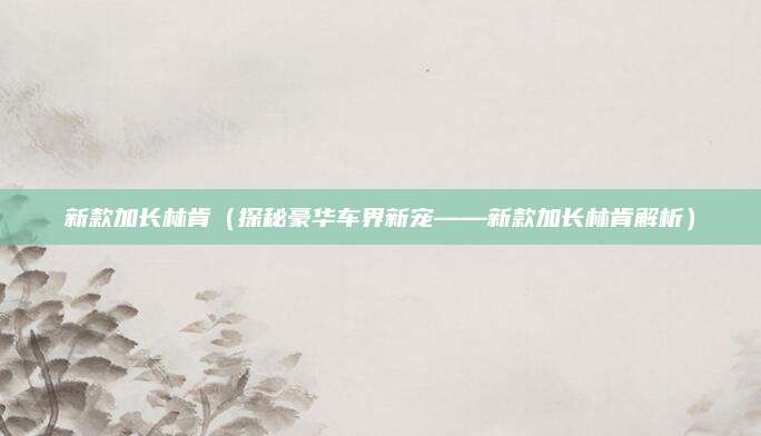 新款加长林肯(探秘豪华车界新宠——新款加长林肯解析)