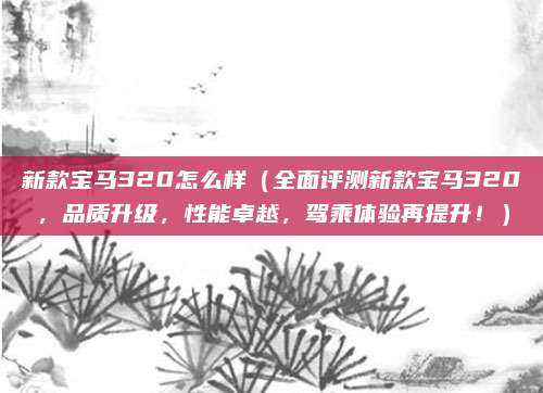 新款宝马320怎么样(全面评测新款宝马320,品质升级,性能卓越,驾乘体验再提升!)