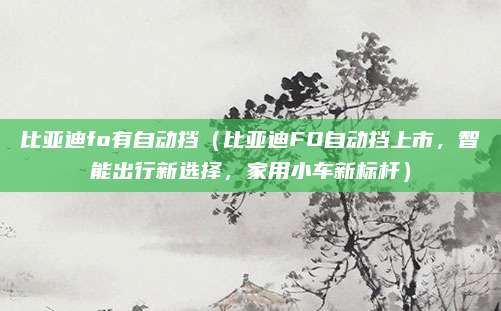 比亚迪fo有自动挡(比亚迪FO自动挡上市,智能出行新选择,家用小车新标杆)