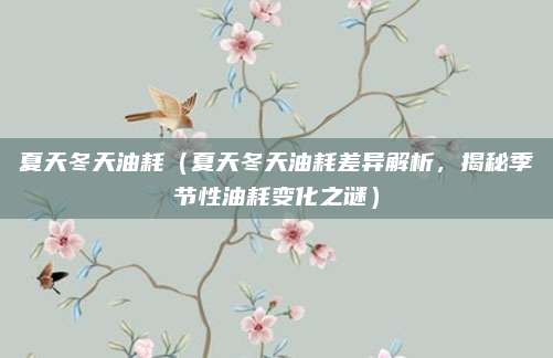 夏天冬天油耗（夏天冬天油耗差异解析，揭秘季节性油耗变化之谜）
