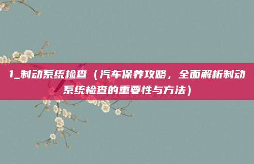 1_制动系统检查(汽车保养攻略,全面解析制动系统检查的重要性与方法)