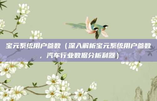 宝元系统用户参数(深入解析宝元系统用户参数,汽车行业数据分析利器)