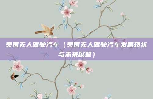 美国无人驾驶汽车（美国无人驾驶汽车发展现状与未来展望）
