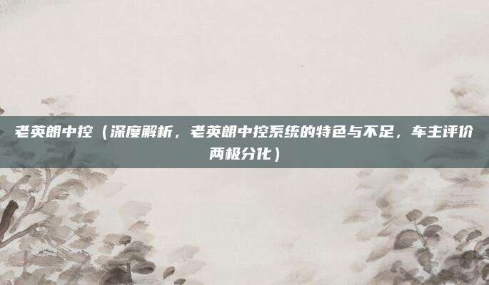 老英朗中控(深度解析,老英朗中控系统的特色与不足,车主评价两极分化)