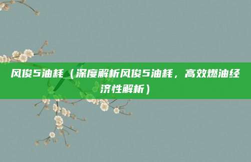风俊5油耗(深度解析风俊5油耗,高效燃油经济性解析)