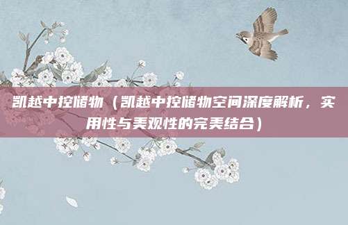 凯越中控储物(凯越中控储物空间深度解析,实用性与美观性的完美结合)