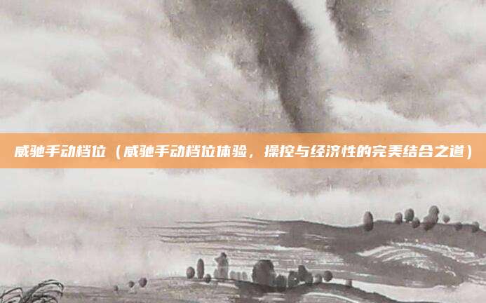 威驰手动档位(威驰手动档位体验,操控与经济性的完美结合之道)