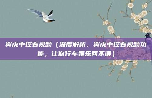 翼虎中控看视频(深度解析,翼虎中控看视频功能,让你行车娱乐两不误)