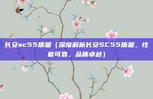 长安sc55质量(深度解析长安SC55质量,性能可靠,品质卓越)
