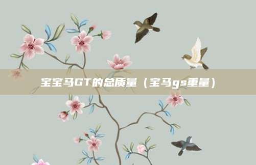宝宝马GT的总质量(宝马gs重量)