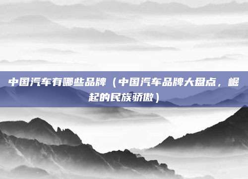 中国汽车有哪些品牌(中国汽车品牌大盘点,崛起的民族骄傲)
