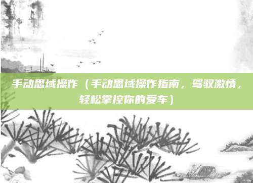 手动思域操作(手动思域操作指南,驾驭激情,轻松掌控你的爱车)