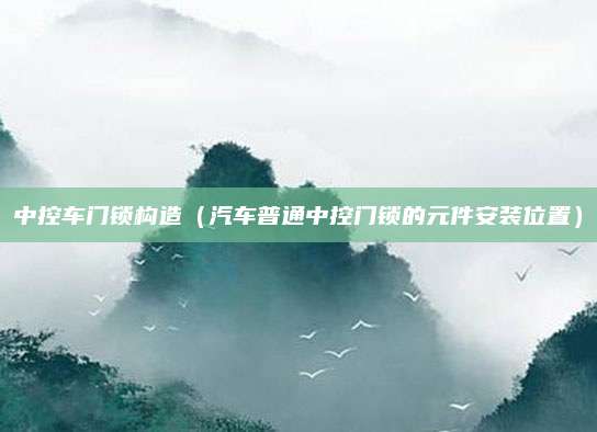 中控车门锁构造(汽车普通中控门锁的元件安装位置)