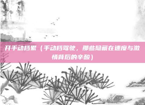 开手动档累(手动档驾驶,那些隐藏在速度与激情背后的辛酸)