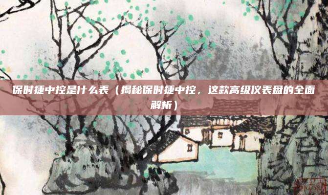 保时捷中控是什么表(揭秘保时捷中控,这款高级仪表盘的全面解析)