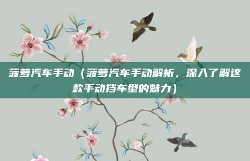 菠萝汽车手动(菠萝汽车手动解析,深入了解这款手动挡车型的魅力)