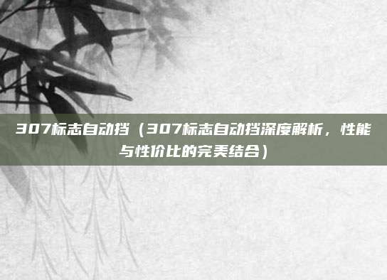 307标志自动挡(307标志自动挡深度解析,性能与性价比的完美结合)
