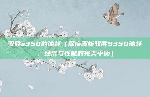 驭胜s350的油耗(深度解析驭胜S350油耗,经济与性能的完美平衡)