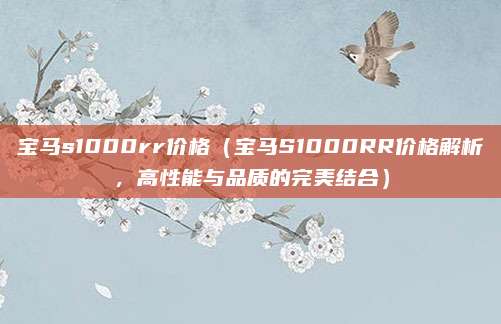 宝马s1000rr价格(宝马S1000RR价格解析,高性能与品质的完美结合)