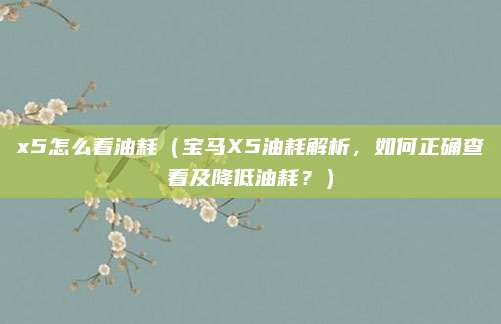 x5怎么看油耗(宝马X5油耗解析,如何正确查看及降低油耗?)