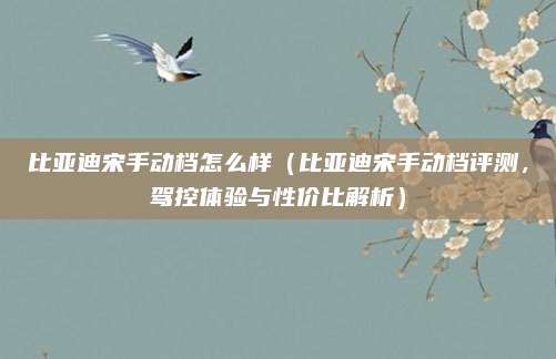 比亚迪宋手动档怎么样(比亚迪宋手动档评测,驾控体验与性价比解析)