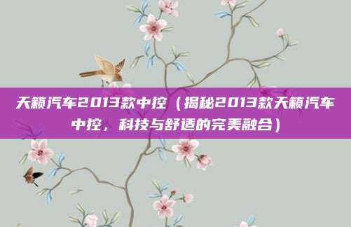 天籁汽车2013款中控(揭秘2013款天籁汽车中控,科技与舒适的完美融合)