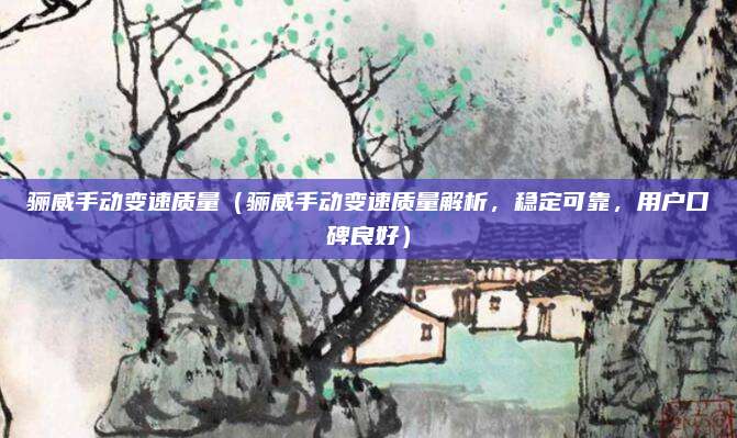 骊威手动变速质量（骊威手动变速质量解析，稳定可靠，用户口碑良好）