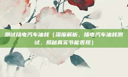测试插电汽车油耗(深度解析,插电汽车油耗测试,揭秘真实节能表现)