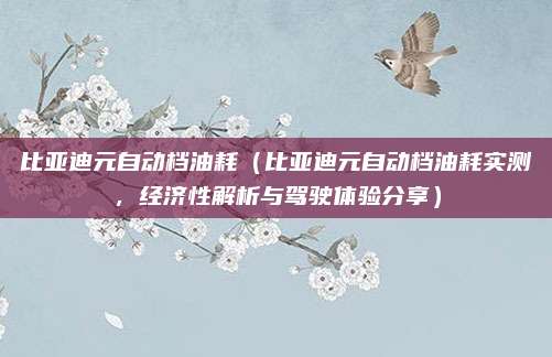 比亚迪元自动档油耗(比亚迪元自动档油耗实测,经济性解析与驾驶体验分享)