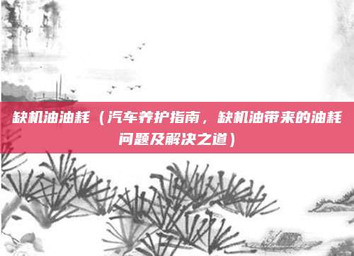 缺机油油耗(汽车养护指南,缺机油带来的油耗问题及解决之道)